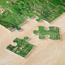 Daubignys Garden. Vincent van Gogh. vacker