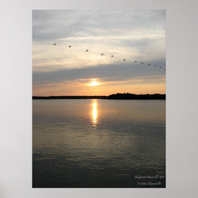 Daufuskie Bound Poster (Framsidan)