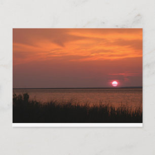 Dauphin Island, AL Sunset Vykort