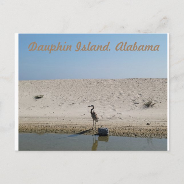 Dauphin Island, Alabama med Blue Heron Postcard Vykort (Framsida)