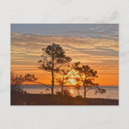 Dauphin Island Refuge Sunrise, Alabama Vykort