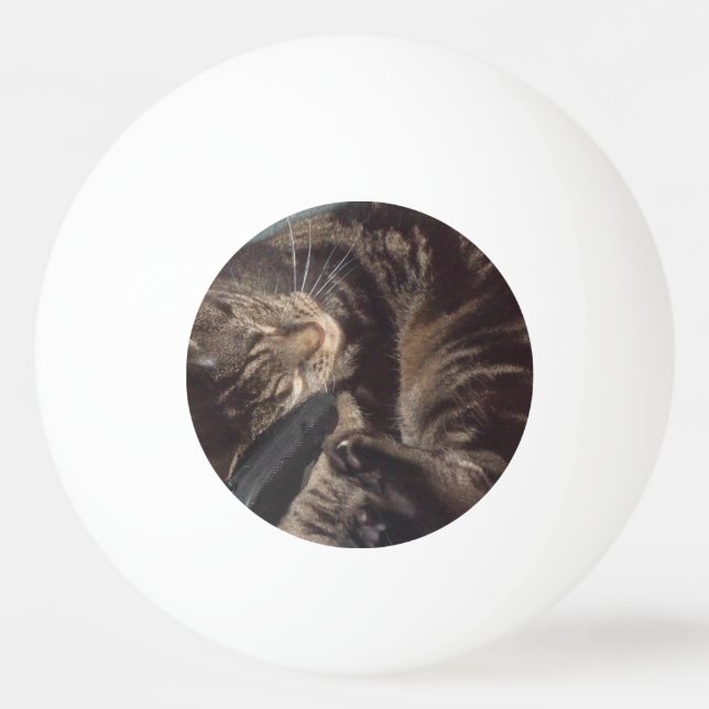 Dave One Star Ping Pong (Bord tennis)Boll Pingisboll (Framsidan)