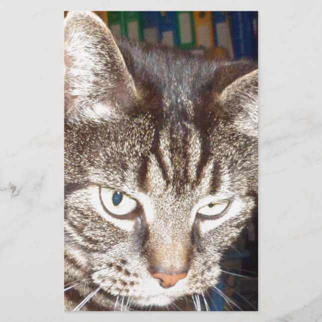 Dave vaktar dig brevpapper (Framsida)