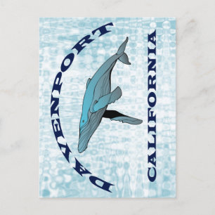 Davenport California Whale Postcard Vykort