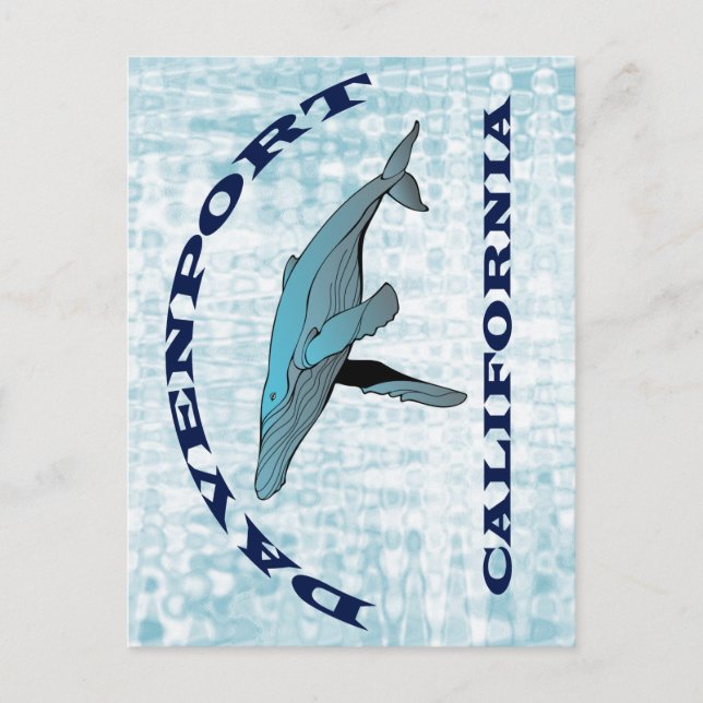 Davenport California Whale Postcard Vykort (Framsida)