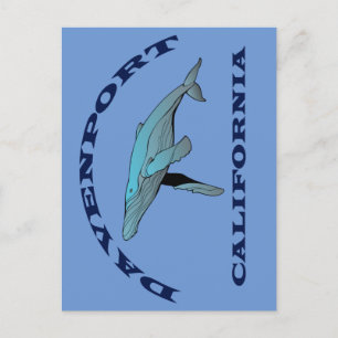 Davenport California Whale Postcard Vykort