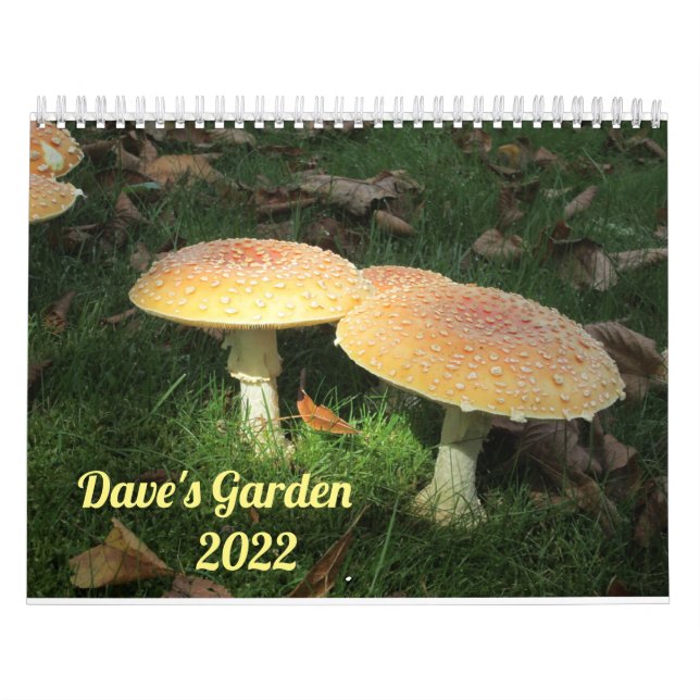 Dave's Garden 2022 Calendar Kalender (Omslag)