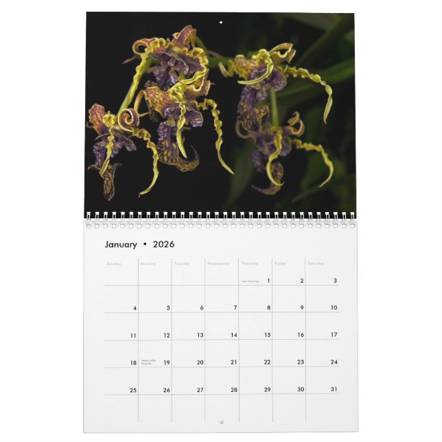 Daves kalender för trädgård 2013 (Jan 2026)