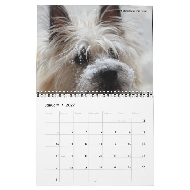 Daves kalender för trädgård 2016 (Jan 2027)
