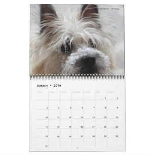 Daves kalender för trädgård 2016