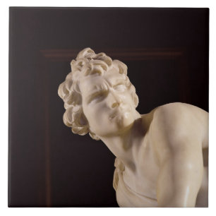 David 1623-24 (marmor) (specificera), kakelplatta
