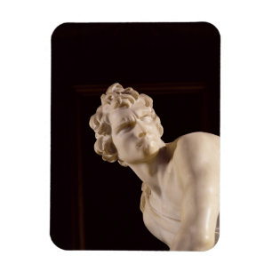 David 1623-24 (marmor) (specificera), magnet