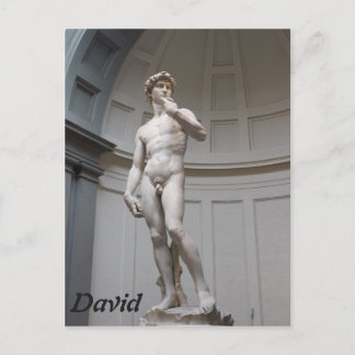 David av Michelangelo- Florence Vykort