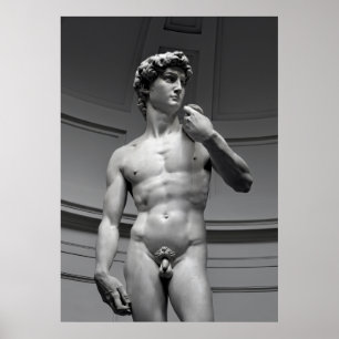 DAVID AV MICHELANGELO POSTER