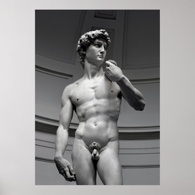 DAVID AV MICHELANGELO POSTER (Framsidan)