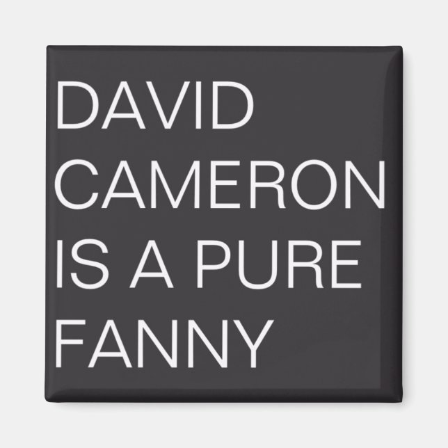 David Cameron Magnet (Framsidan)