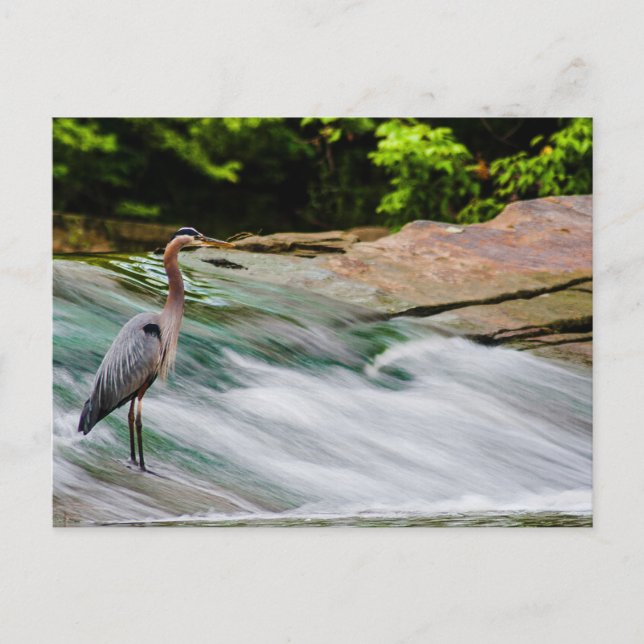 David Fortier River Park, Olmsted Falls, Ohio Vykort (Framsida)