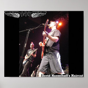 David Hasselhoffs Haircut poster
