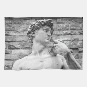 David (Michelangelo) Kökshandduk