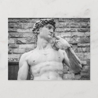 David (Michelangelo) Vykort