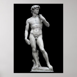 DAVID POSTER
