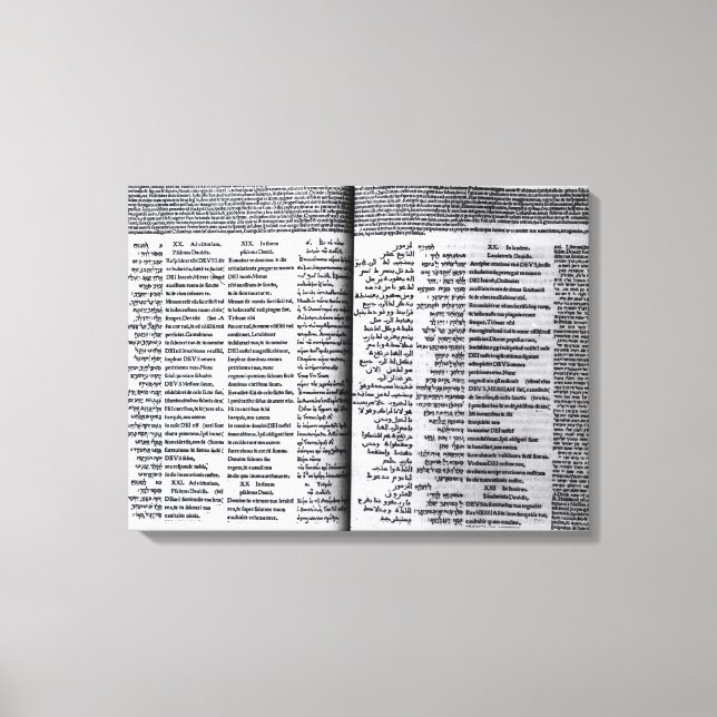 David Psalm: Psalterim Octaplums, 1516 Canvastryck (Framsida)