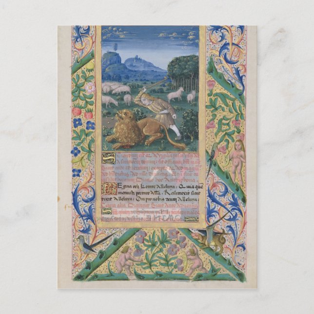 David som försvarar sin pappor får mot en vykort (Framsida)