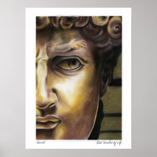David statue av Lee Vandergrift Poster