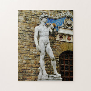 David statue pussel