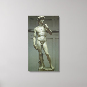 David staty av Michelangelo Canvastryck