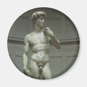 David-statyn av Michelangelo Magnet