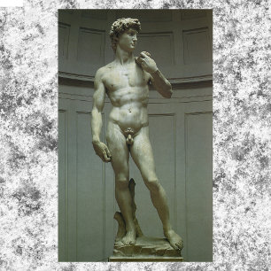 David-statyn av Michelangelo Poster