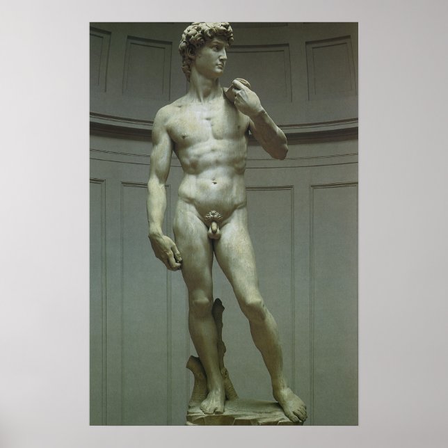David-statyn av Michelangelo Poster (Framsidan)