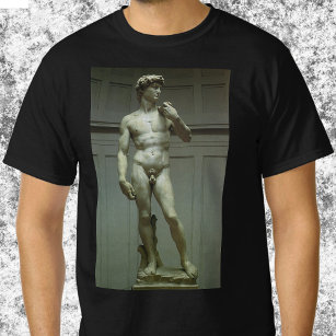 David-statyn av Michelangelo Tröja