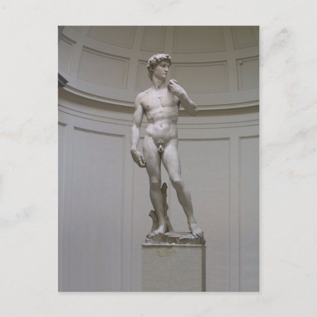 David Vykort (Framsida)