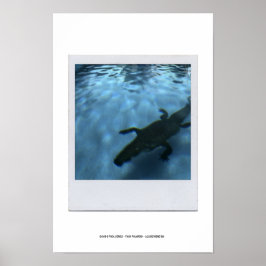 DAVID'S BASSÄNG SERIES p05b Poster