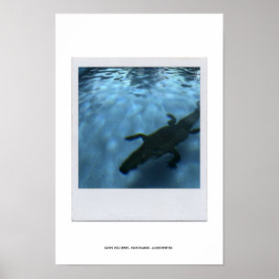 DAVID'S BASSÄNG SERIES p05b Poster