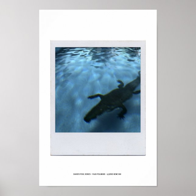 DAVID'S BASSÄNG SERIES p05b Poster (Framsidan)