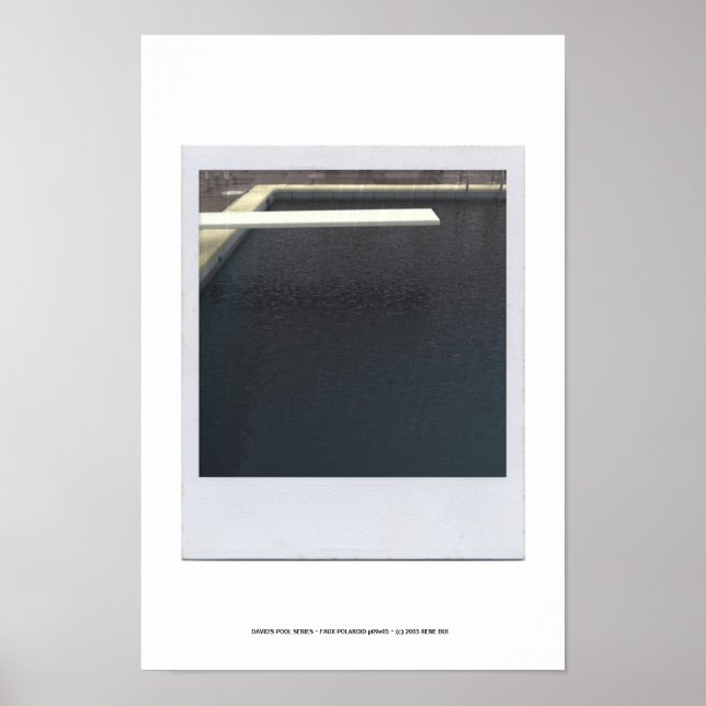 DAVID'S BASSÄNG SERIES p09e05 Poster (Framsidan)
