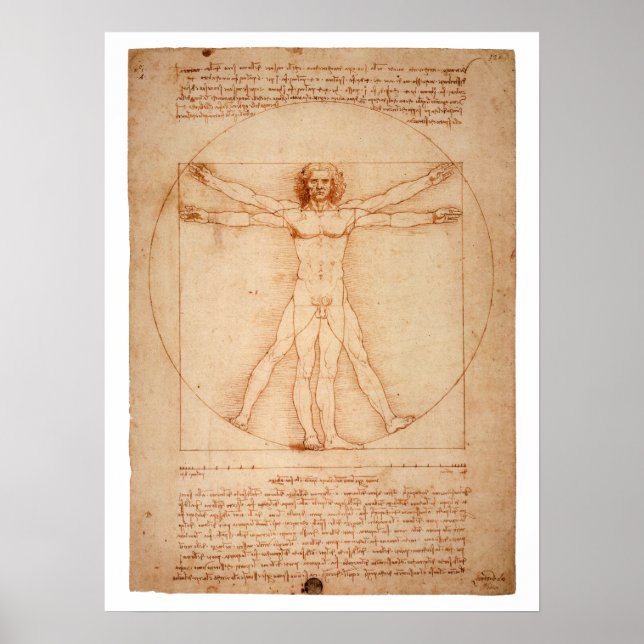 DaVinci Vitruvian Man Poster (Framsidan)