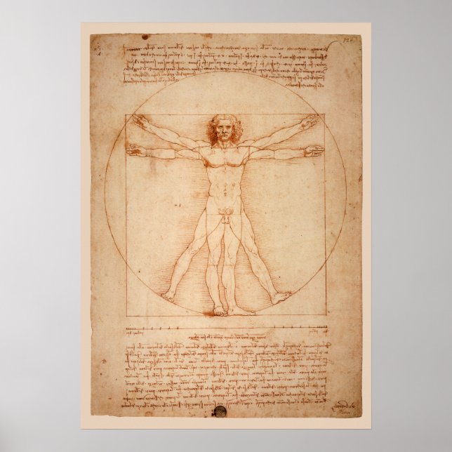 DaVinci Vitruvian Man Poster (Framsidan)