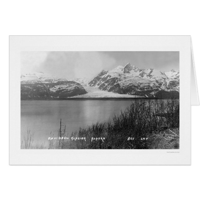 Davis Glacier Alaska 1914 Hälsningskort (Framsidan Horizontal)