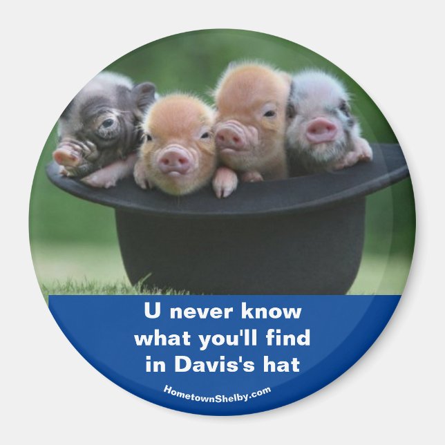 Davis hatt magnet (Framsidan)