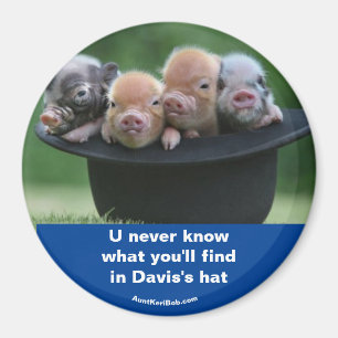 Davis hatt magnet