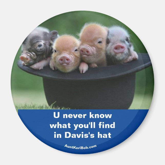 Davis hatt magnet (Framsidan)