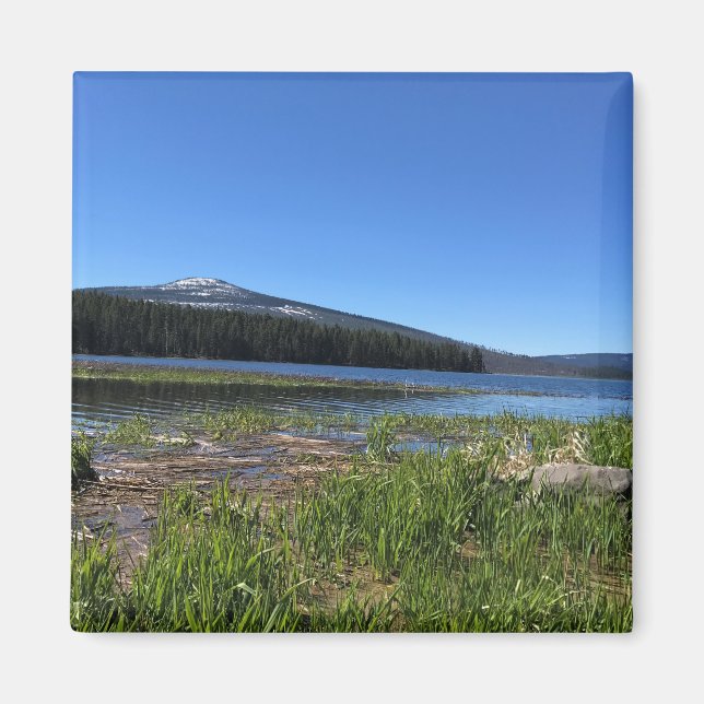 Davis Lake, OR Magnet (Framsidan)