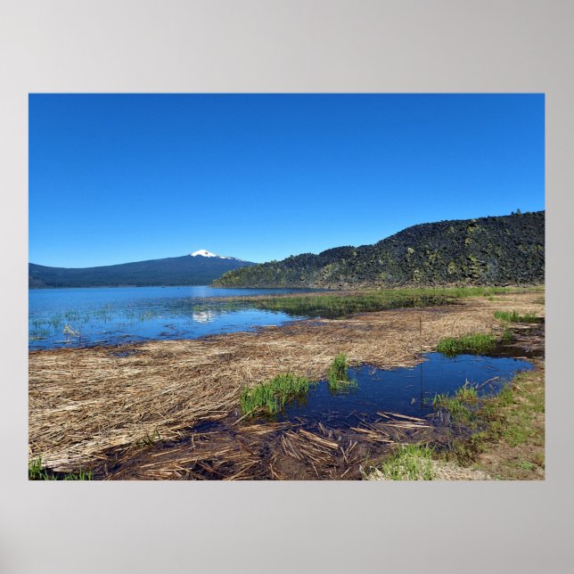 Davis Lake, OR Poster (Framsidan)