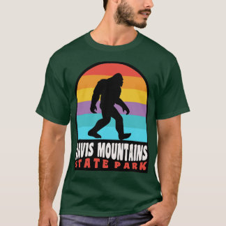 Davis Mountains State Park Texas T Shirt
