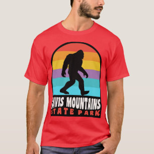 Davis Mountains State Park Texas T Shirt