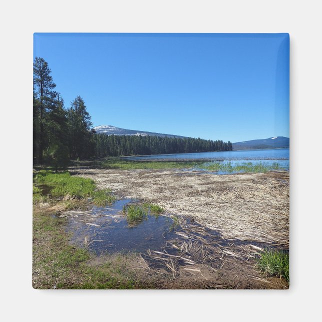 Davis Sjö, Oregon Magnet (Framsidan)